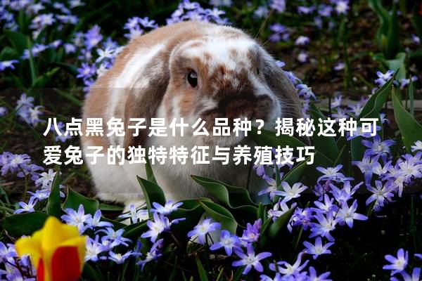 八点黑兔子是什么品种？揭秘这种可爱兔子的独特特征与养殖技巧