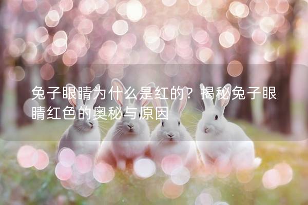 兔子眼睛为什么是红的？揭秘兔子眼睛红色的奥秘与原因