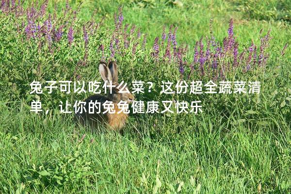 兔子可以吃什么菜？这份超全蔬菜清单，让你的兔兔健康又快乐