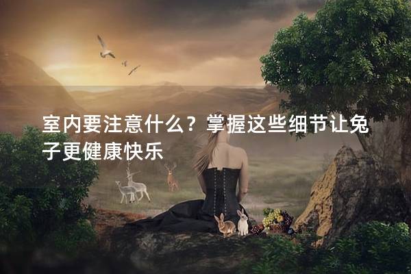 室内要注意什么？掌握这些细节让兔子更健康快乐
