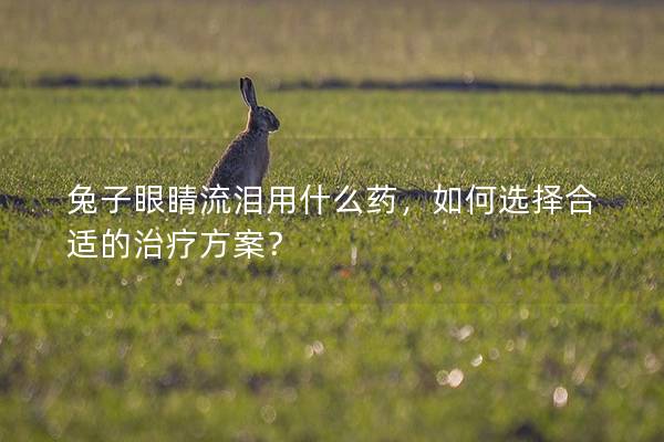 兔子眼睛流泪用什么药，如何选择合适的治疗方案？