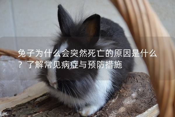 兔子为什么会突然死亡的原因是什么？了解常见病症与预防措施