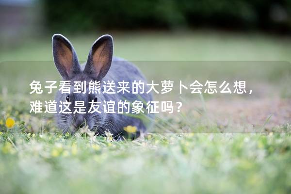 兔子看到熊送来的大萝卜会怎么想，难道这是友谊的象征吗？