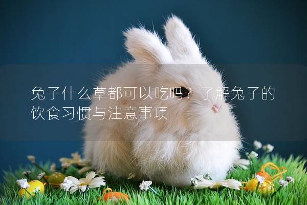 兔子什么草都可以吃吗？了解兔子的饮食习惯与注意事项