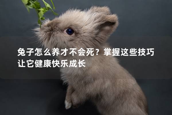 兔子怎么养才不会死？掌握这些技巧让它健康快乐成长