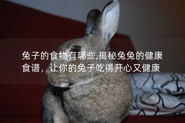 兔子的食物有哪些,揭秘兔兔的健康食谱，让你的兔子吃得开心又健康