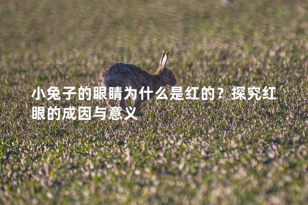 小兔子的眼睛为什么是红的？探究红眼的成因与意义
