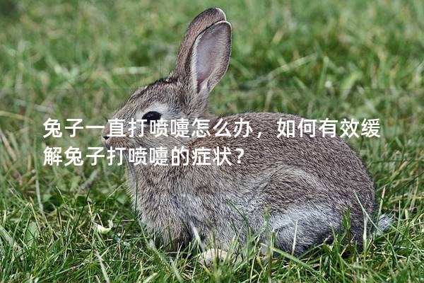 兔子一直打喷嚏怎么办，如何有效缓解兔子打喷嚏的症状？