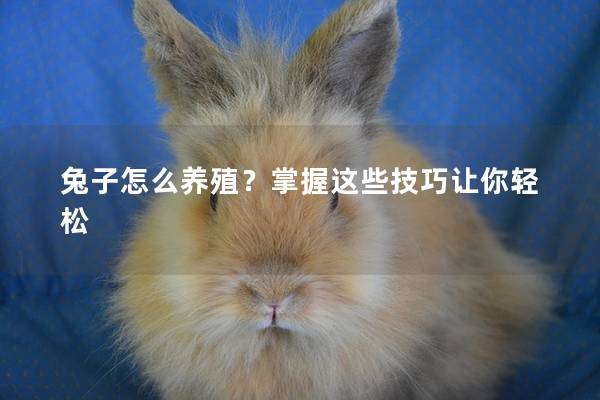 兔子怎么养殖？掌握这些技巧让你轻松