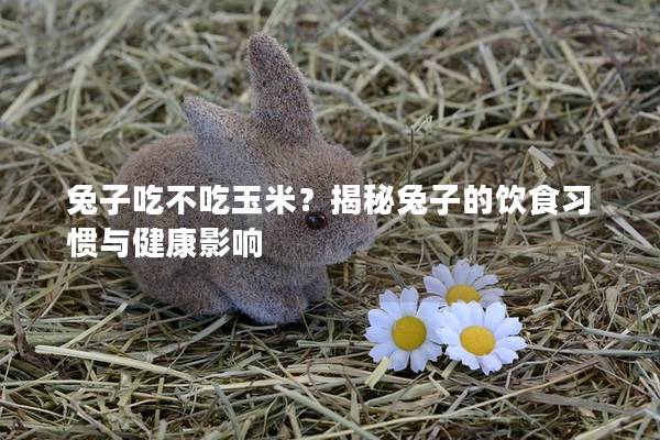 兔子吃不吃玉米？揭秘兔子的饮食习惯与健康影响