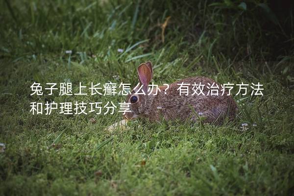 兔子腿上长癣怎么办？有效治疗方法和护理技巧分享