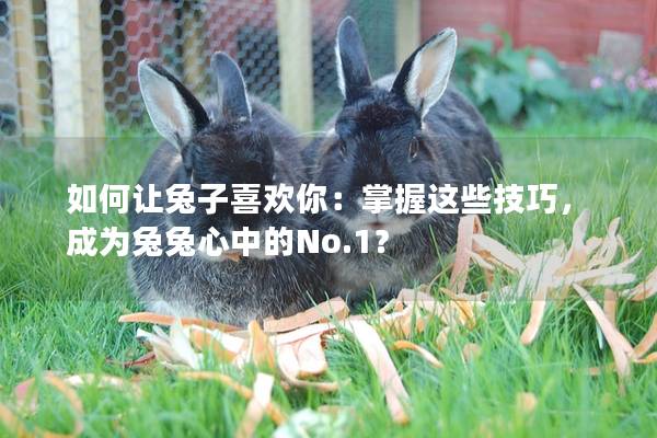 如何让兔子喜欢你：掌握这些技巧，成为兔兔心中的No.1？