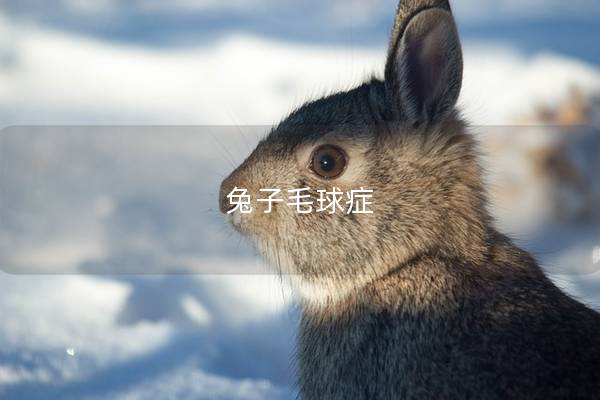 兔子毛球症