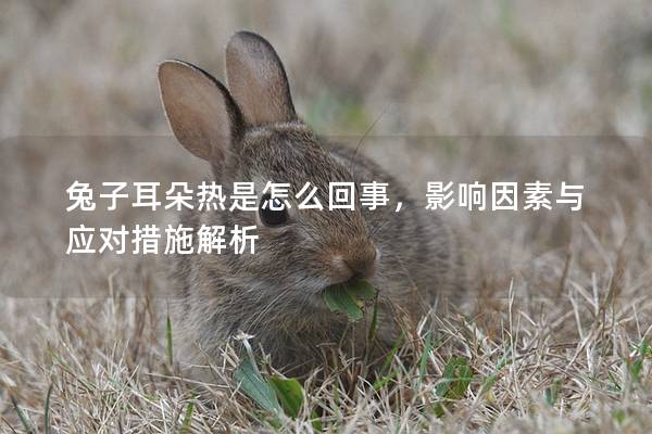 兔子耳朵热是怎么回事，影响因素与应对措施解析