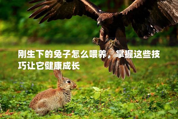 刚生下的兔子怎么喂养，掌握这些技巧让它健康成长