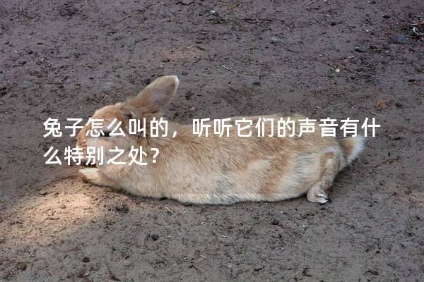 兔子怎么叫的，听听它们的声音有什么特别之处？