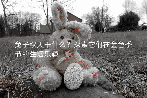 兔子秋天干什么？探索它们在金色季节的生活乐趣
