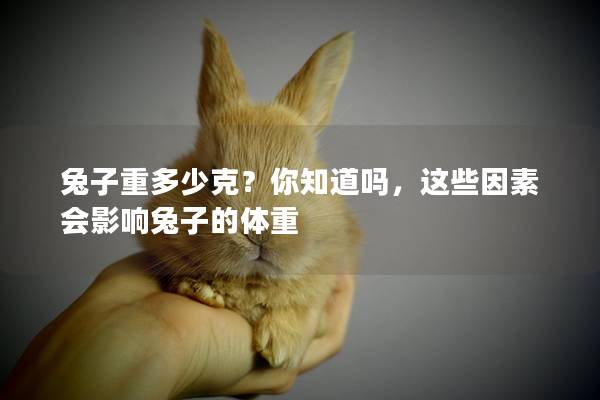 兔子重多少克？你知道吗，这些因素会影响兔子的体重