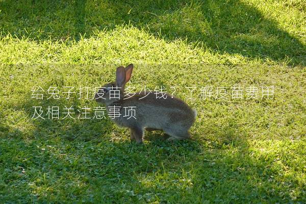给兔子打疫苗多少钱？了解疫苗费用及相关注意事项