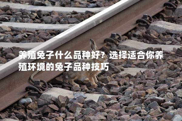 养殖兔子什么品种好？选择适合你养殖环境的兔子品种技巧