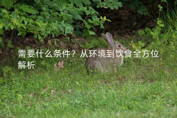 需要什么条件？从环境到饮食全方位解析