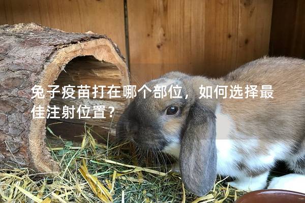 兔子疫苗打在哪个部位，如何选择最佳注射位置？