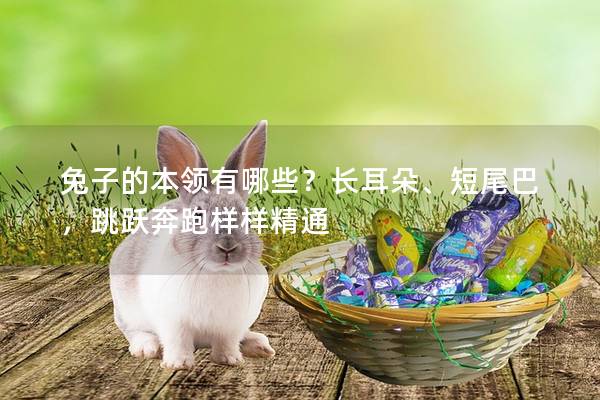 兔子的本领有哪些？长耳朵、短尾巴，跳跃奔跑样样精通