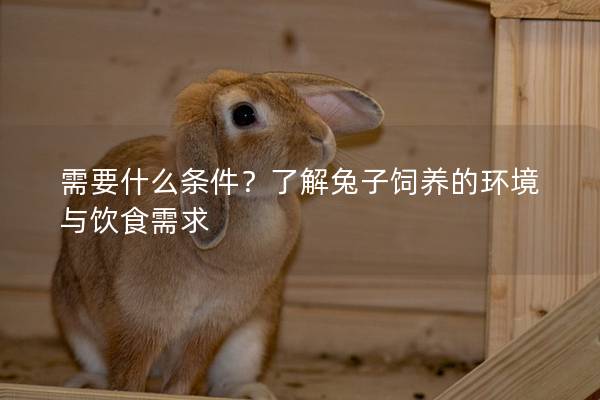 需要什么条件？了解兔子饲养的环境与饮食需求