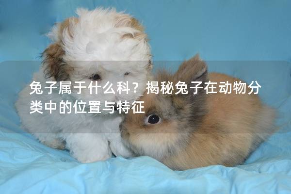 兔子属于什么科？揭秘兔子在动物分类中的位置与特征