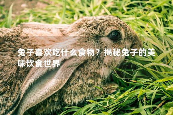 兔子喜欢吃什么食物？揭秘兔子的美味饮食世界