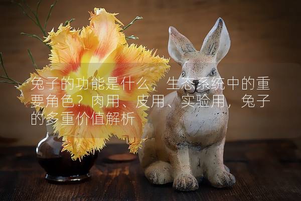 兔子的功能是什么，生态系统中的重要角色？肉用、皮用、实验用，兔子的多重价值解析