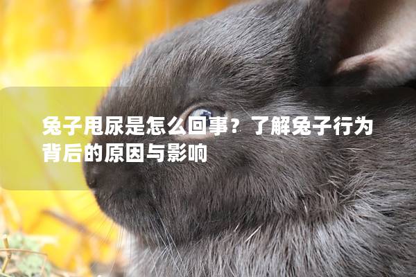 兔子甩尿是怎么回事？了解兔子行为背后的原因与影响
