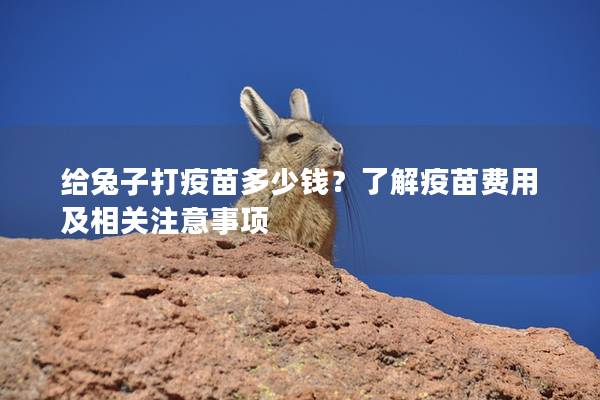 给兔子打疫苗多少钱？了解疫苗费用及相关注意事项