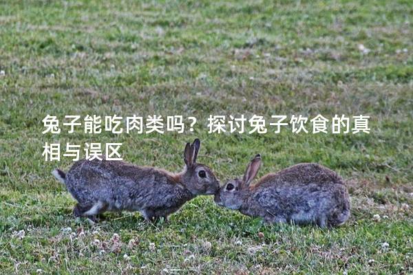 兔子能吃肉类吗？探讨兔子饮食的真相与误区