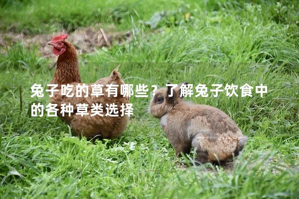 兔子吃的草有哪些？了解兔子饮食中的各种草类选择