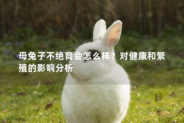 母兔子不绝育会怎么样？对健康和繁殖的影响分析