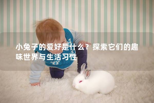 小兔子的爱好是什么？探索它们的趣味世界与生活习性