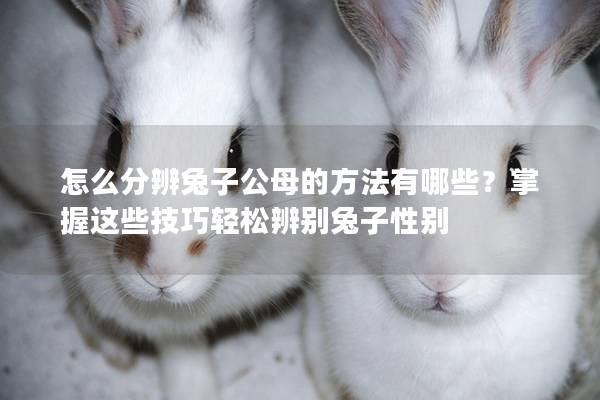 怎么分辨兔子公母的方法有哪些？掌握这些技巧轻松辨别兔子性别