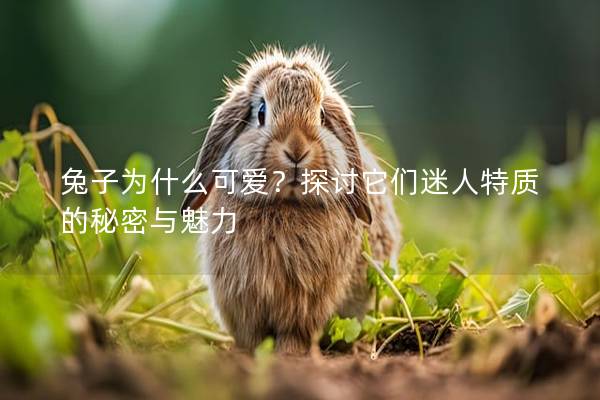兔子为什么可爱？探讨它们迷人特质的秘密与魅力