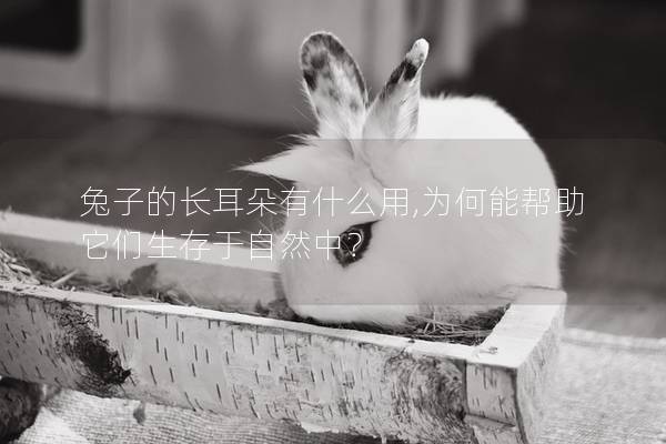 兔子的长耳朵有什么用,为何能帮助它们生存于自然中？