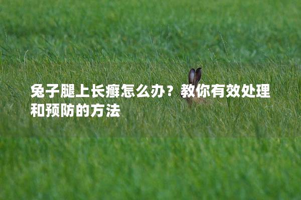 兔子腿上长癣怎么办？教你有效处理和预防的方法
