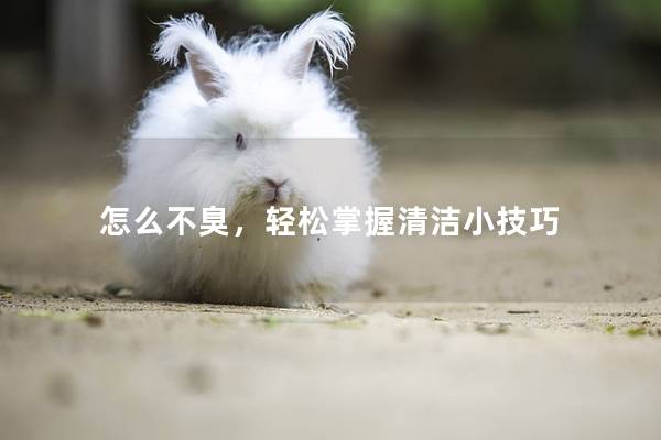 怎么不臭，轻松掌握清洁小技巧