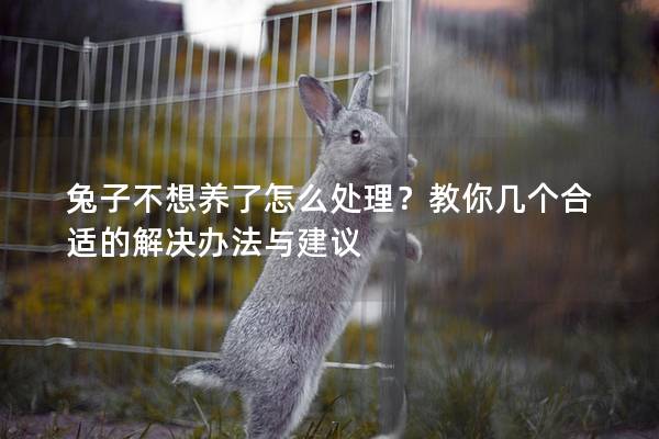 兔子不想养了怎么处理？教你几个合适的解决办法与建议