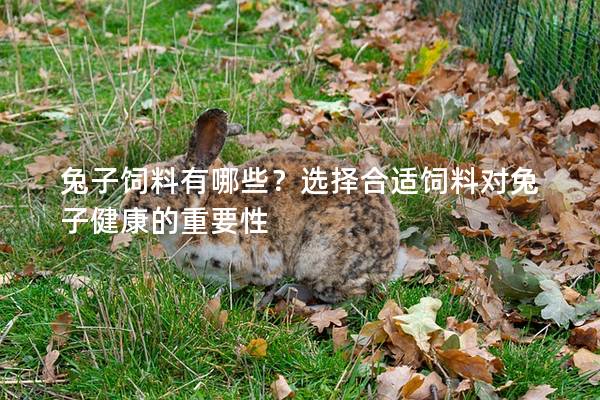 兔子饲料有哪些？选择合适饲料对兔子健康的重要性