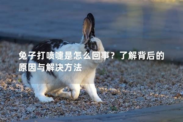 兔子打喷嚏是怎么回事？了解背后的原因与解决方法