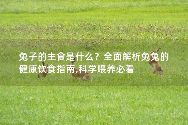兔子的主食是什么？全面解析兔兔的健康饮食指南,科学喂养必看