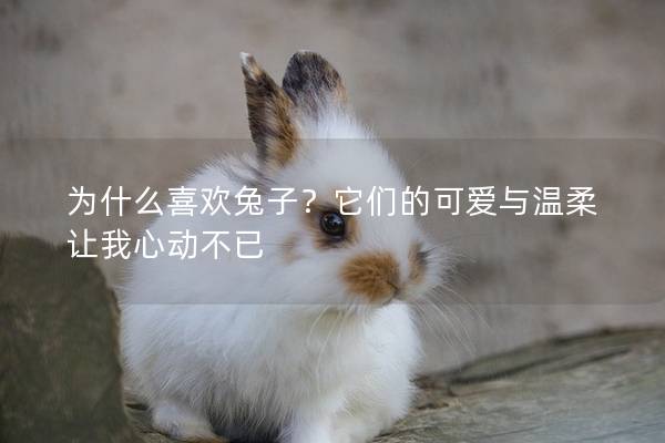 为什么喜欢兔子？它们的可爱与温柔让我心动不已