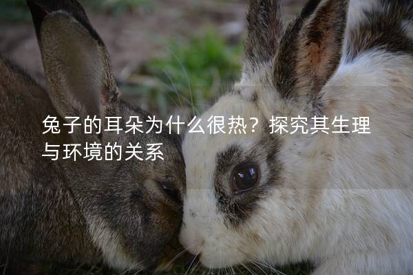 兔子的耳朵为什么很热？探究其生理与环境的关系