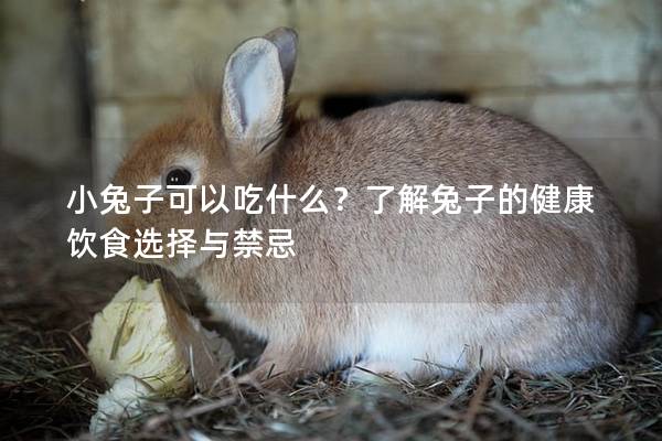 小兔子可以吃什么？了解兔子的健康饮食选择与禁忌