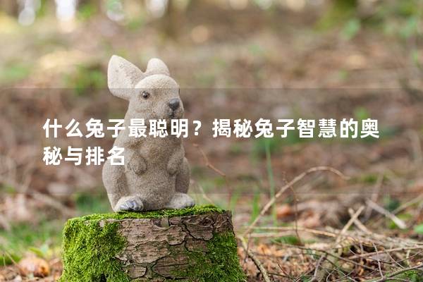 什么兔子最聪明？揭秘兔子智慧的奥秘与排名